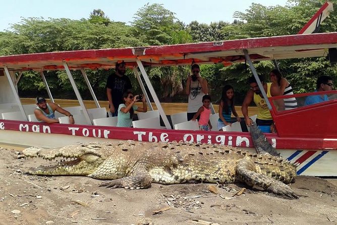 10 in 1 Puntarenas Highlights tour - Tarcoles River: the day’s best wildlife stop