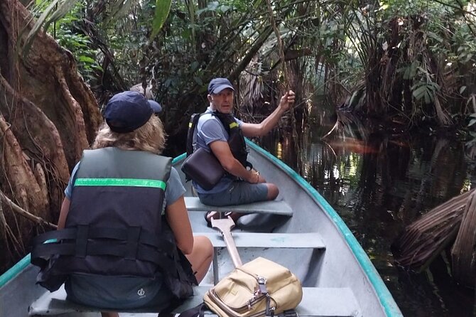 3-hour canoe tour through Tortuguero National Park - Why a canoe is the right way to see Tortuguero