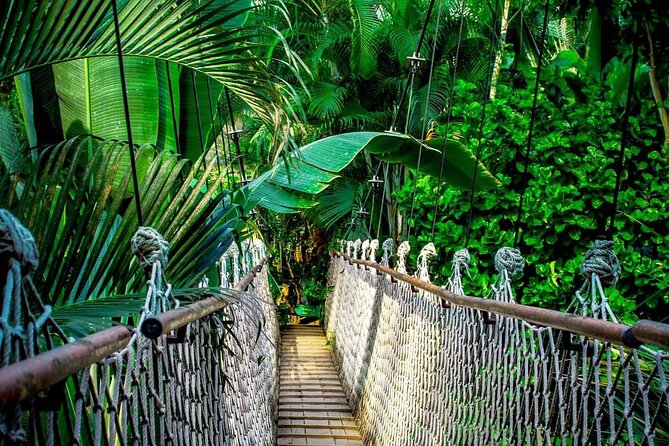 3 in 1 Combo: La Fortuna Waterfall, Hanging Bridges, Thermal Spa from San José - One big Costa Rica day from San José