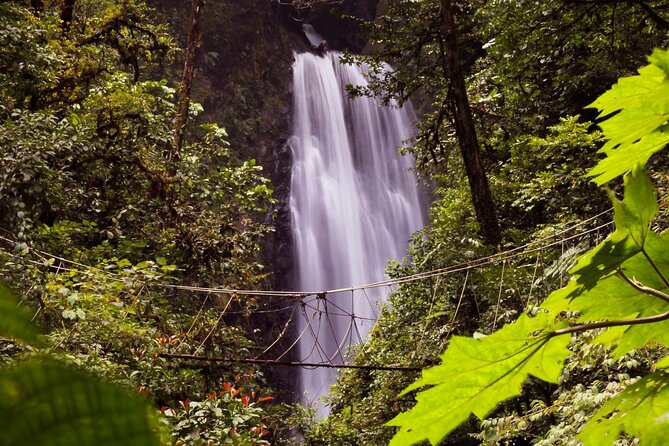 3-in-1 Monteverde Cloud Forest Waterfalls, Wild Trekking and Horseback Riding - Lunch Rewards the Hard Work
