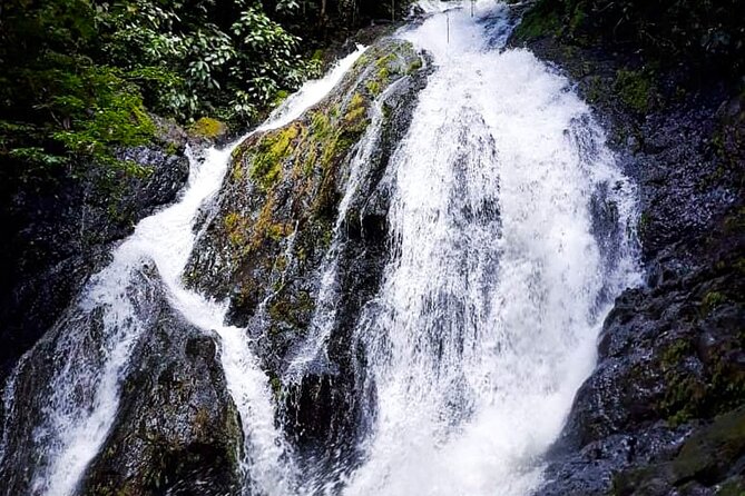 5 Hour Off-Road ATV+ Zipline+ Waterfall Rappelling+ Tractor Jungle Tour - More than 2,000 meters of zip line