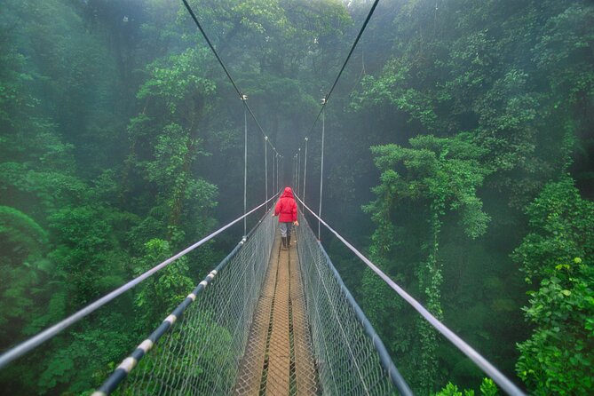 8 days and 7 nights - Costa Rica Pura Vida - Manuel Antonio finishes with forest, wildlife, and beaches