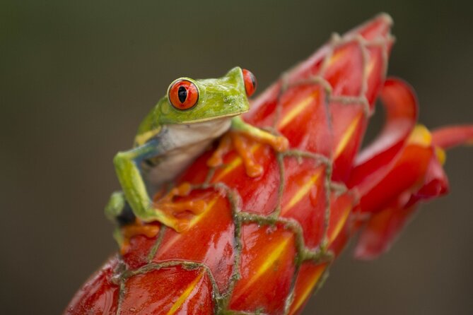 8 days and 7 nights - Costa Rica Pura Vida - Transport choices can shape your experience