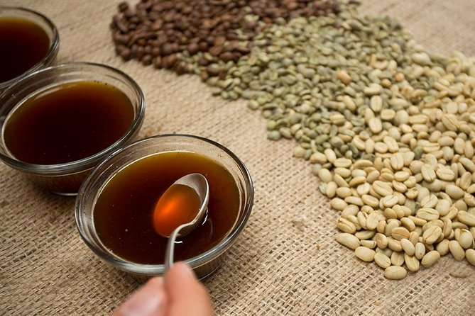 A taste of Aquiares - 2 hours Coffee Tour - Why Aquiares makes a better coffee lesson