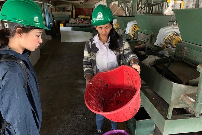 A taste of Aquiares - 2 hours Coffee Tour - Spending an hour at the beneficio