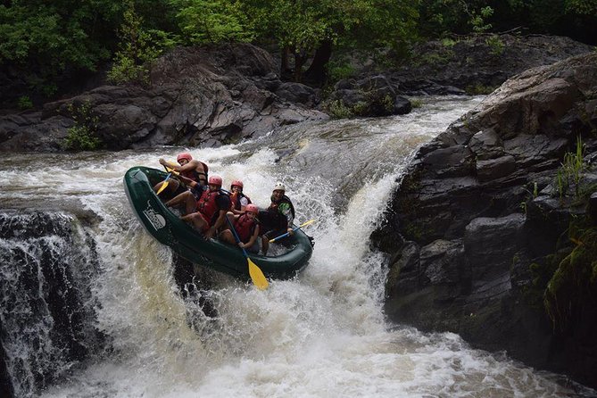 Adventure Rafting Class III and IV in Tenorio River from Playa Tamarindo - Wildlife between the rapids