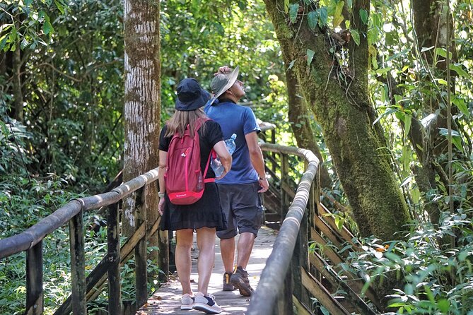 All Inclusive National Park Manuel Antonio with Binoculars - Why a guide matters on Manuel Antonio’s forest paths