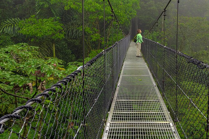 Arenal Best 4 Attractions Full Day Combo Incl. Lunch and Dinner - The volcano walk shows old lava, not an ascent of Arenal