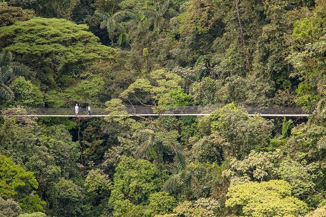 Arenal Best 4 Attractions Full Day Combo Incl. Lunch and Dinner - How hard is this full-day combo?