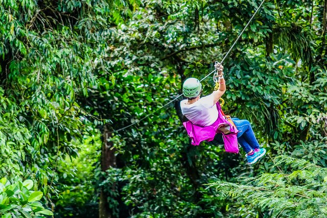 Arenal Canopy and Horseback Riding Adventure - What you see above the rainforest