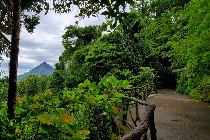 Arenal Full Day Tour - A family lunch with a view of the valley