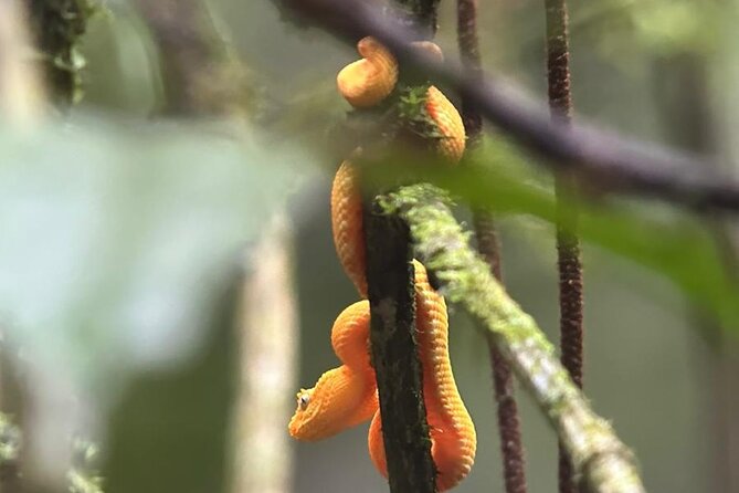 Arenal Full Day Tour - Who should book this Arenal day?
