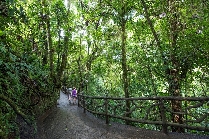 Arenal Hanging Bridges, Guided Walk, Hot Springs Optional - Why the Arenal Hanging Bridges are worth your time