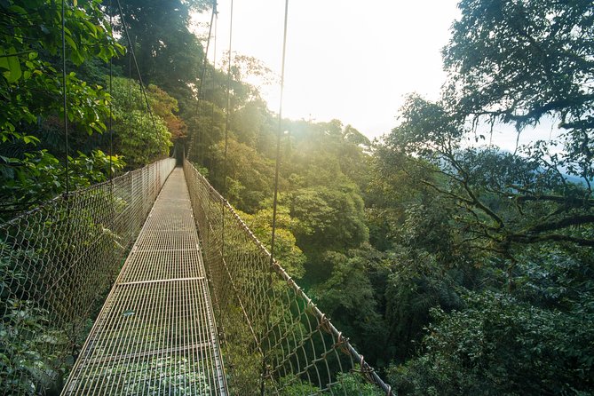 Arenal Hanging Bridges Hiking Tour - What makes the 15 bridges special