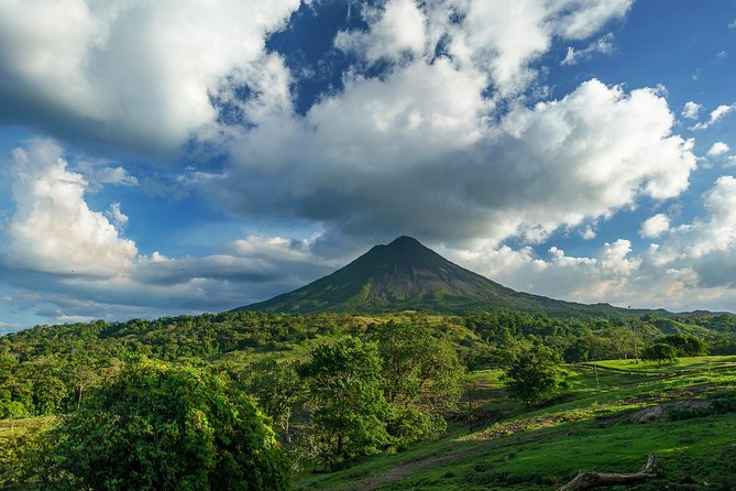 Arenal Volcano Hike plus Baldi Hot Springs and Dinner - Guides, wildlife, and the human side of the walk
