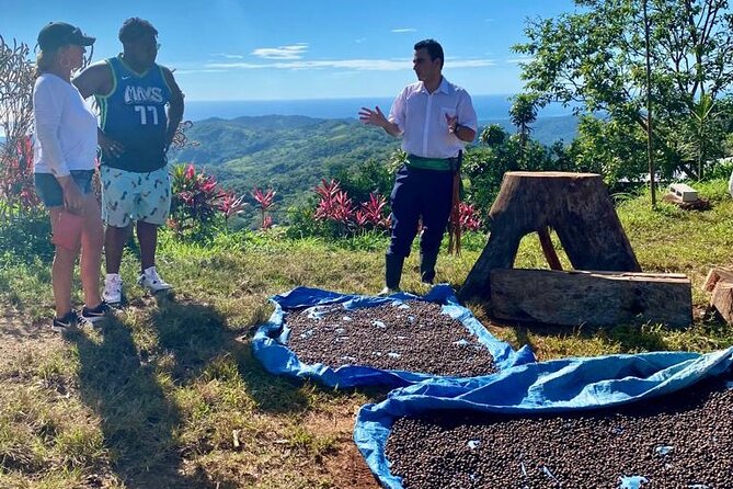 ATV Waterfall & Organic Coffee Farm with Lunch - Practical tips before you book