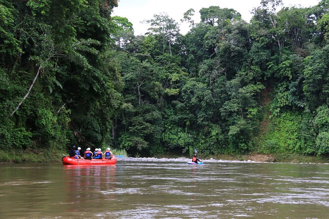 Awesome Fun Rafting Class 3 Balsa River 5-Hour Tour in La Fortuna - Jungle wildlife along the second half