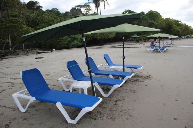 Beach Day Experience in Manuel Antonio - Wildlife, views, and what not to expect