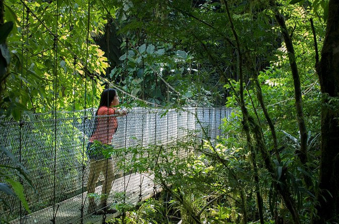 Best of La Fortuna: Hanging Bridges, Waterfall and Arenal Volcano - Mistico’s hanging bridges change your view of the forest