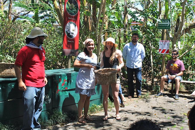 Britt Coffee Tour from San José - Getting there from San José