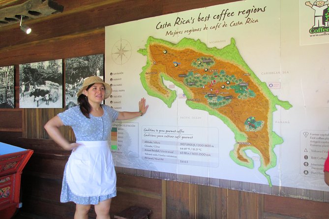 Britt Coffee Tour from San José - The cupping session in the amphitheater