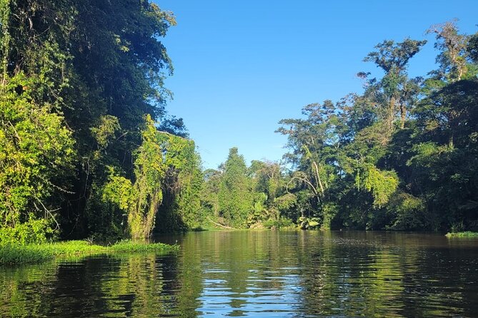 Canoe Boat Tour in Tortuguero Canal - Entering Tortuguero’s rainforest by canoe