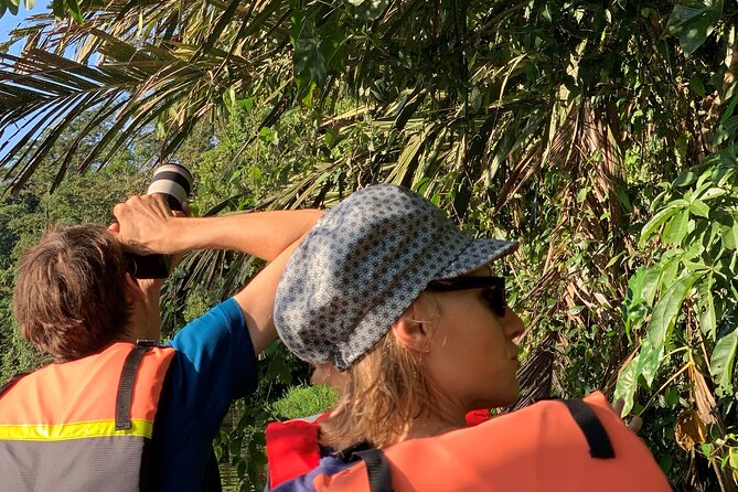 Canoe tour - Canoe or kayak: a quiet way to search