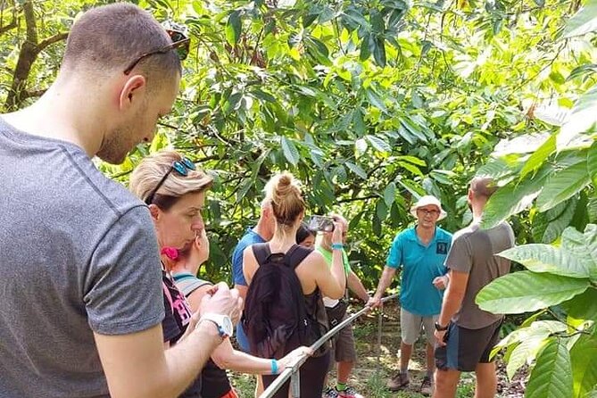 Chocolate and Coffee Tour Farm Don Jorge - What makes Don Jorge Farm worth your time