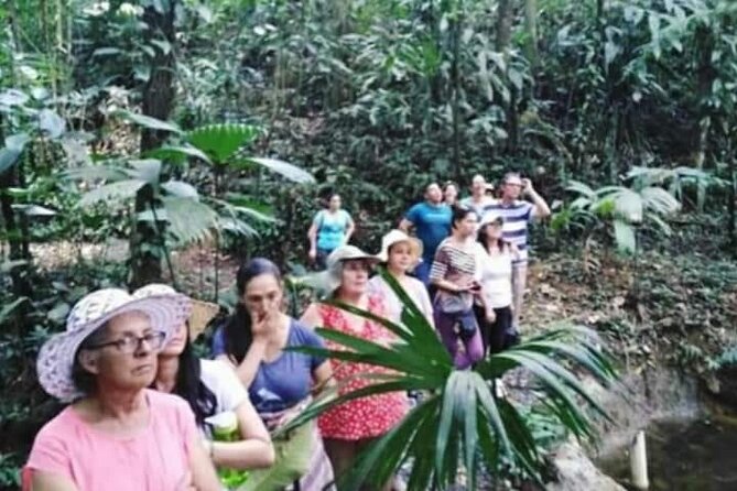 Chocolate and Coffee Tour Farm Don Jorge - A small farm with a lot to taste