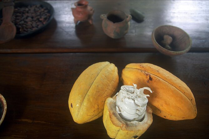 Chocolate and Farm Tour with local Tico family - Traditional Cacao Drinks, Not Just Hot Chocolate