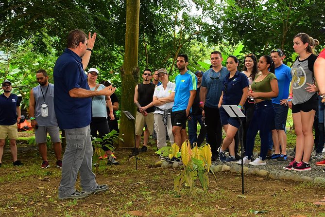 Chocolate Experience in Jaco Beach and Los Suenos - What this chocolate experience actually offers
