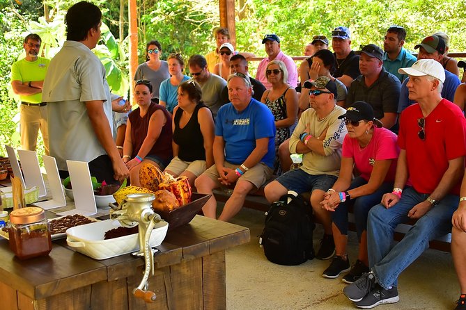 Chocolate Experience in Jaco Beach and Los Suenos - Walking through the cacao trees near Los Sueños