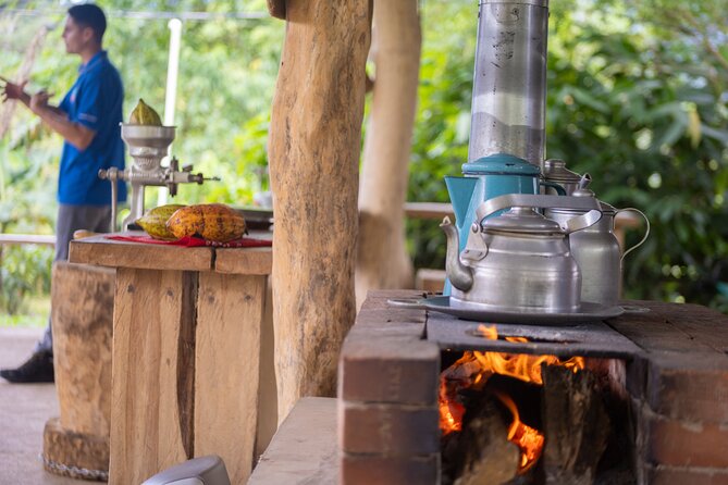 Coffee & Chocolate Tour+Sloths Park & Llanos de Cortez Waterfall - Who should book this day?