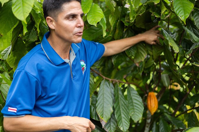Coffee & Chocolate Tour+Sloths Park & Llanos de Cortez Waterfall - Coffee, cacao, and the taste of Bijagua