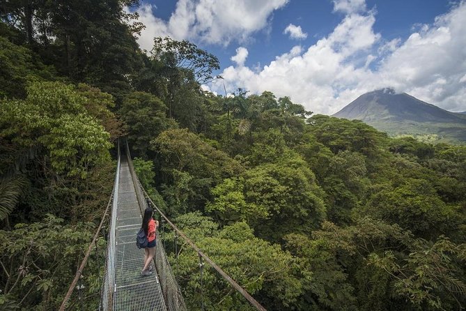Combined Tour (Hanging Bridges, La Fortuna Waterfall, Arenal Volcano) - Wildlife spotting with a guide who pays attention