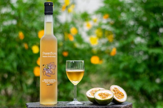 Costa Rica Central Valley Wine, Beer, and Mead Tour and Tasting - Key points to know before you book