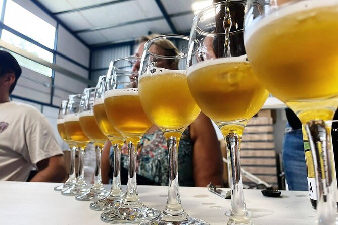 Costa Rica Central Valley Wine, Beer, and Mead Tour and Tasting - Inside Costa Rica Meadery