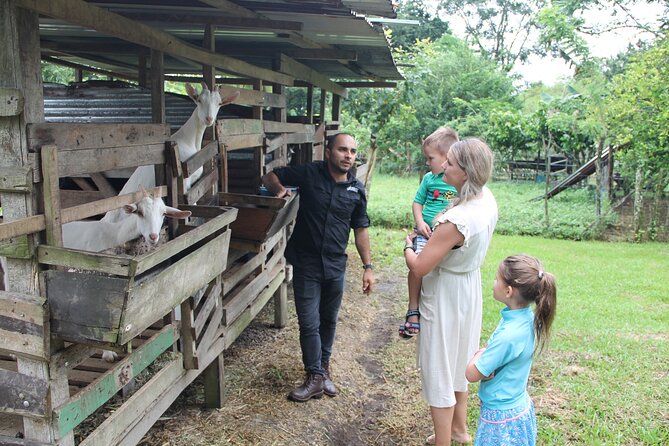 Costa Rica Descents Organic Farm - Key points to know before booking