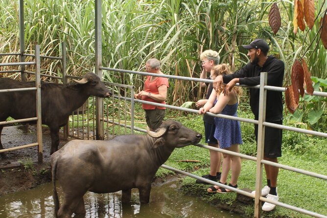 Costa Rica Descents Organic Farm - Why this farm visit adds something different to La Fortuna