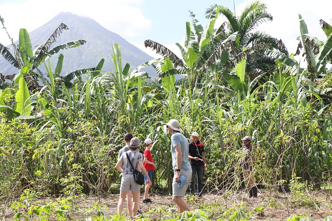Costa Rica Descents Organic Farm - Who should book this farm experience?