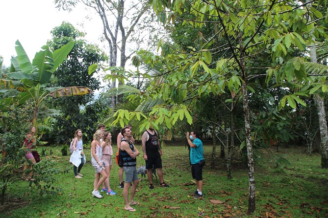 Costa Rica Descents Organic Farm - Entering Costa Rica Descents Organic Farm