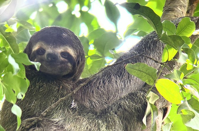 Customized Nature Walk in Manuel Antonio National Park - Is three hours the right length?