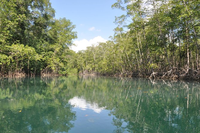 Damas Island Mangrove Boat Tour with Wildlife from Manuel Antonio - Key points to know before you book