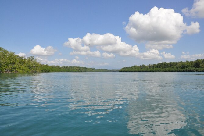 Damas Island Mangrove Boat Tour with Wildlife from Manuel Antonio - The included Costa Rican meal