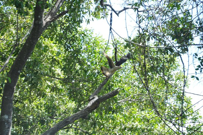 Damas Island Mangrove Boat Tour with Wildlife from Manuel Antonio - Who should book this boat trip?