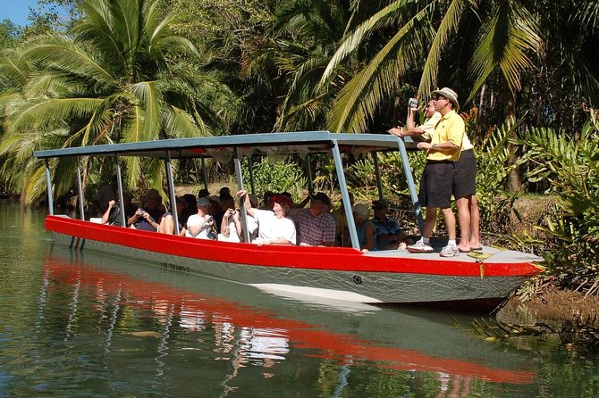 Damas Island Mangrove Boat Tour with Wildlife from Manuel Antonio - Cruising through Isla Damas