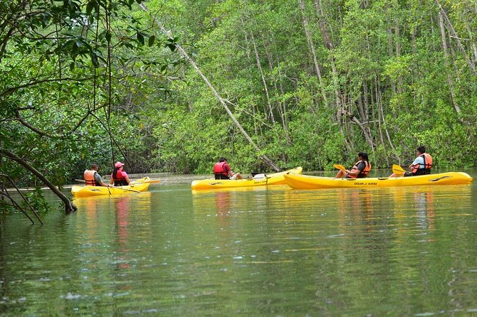 Damas Island Mangrove Kayaking Tour from Manuel Antonio - Key points before you paddle