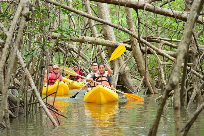 Damas Island Mangrove Kayaking Tour from Manuel Antonio - Paddling through Damas Island’s mangrove channels