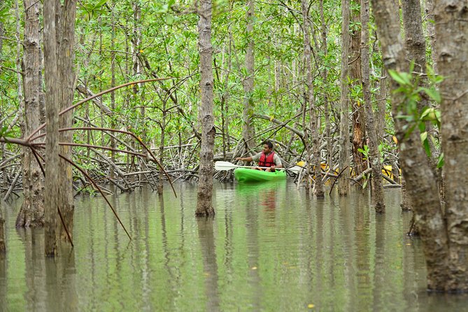 Damas Island Mangrove Kayaking Tour from Manuel Antonio - The Tucanes Tours stop and the Costa Rican meal