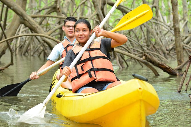 Damas Island Mangrove Kayaking Tour from Manuel Antonio - What you might see among the roots and branches